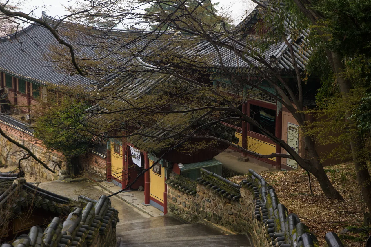 Beomeosa temple buildings among fresh green trees in spring