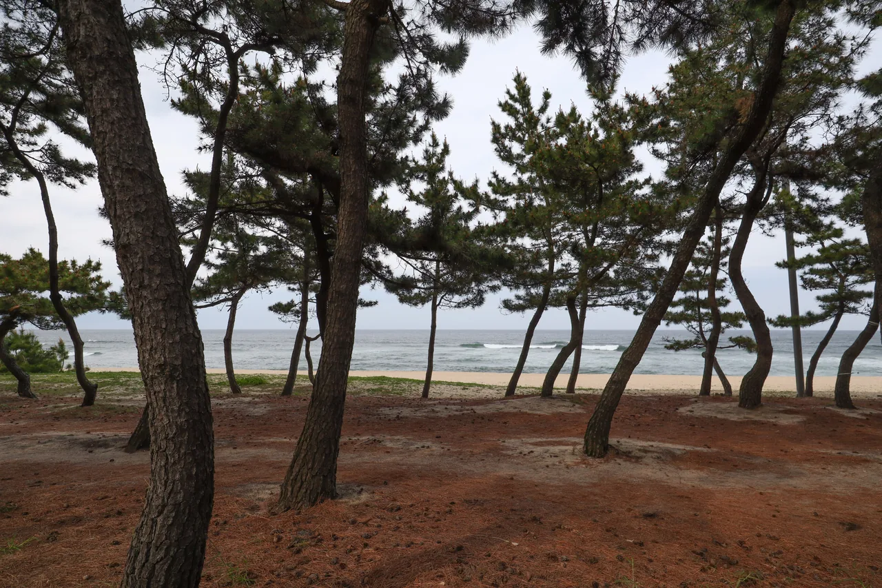 Songjeong Beach in Busan, a calm and shallow family and surf beach