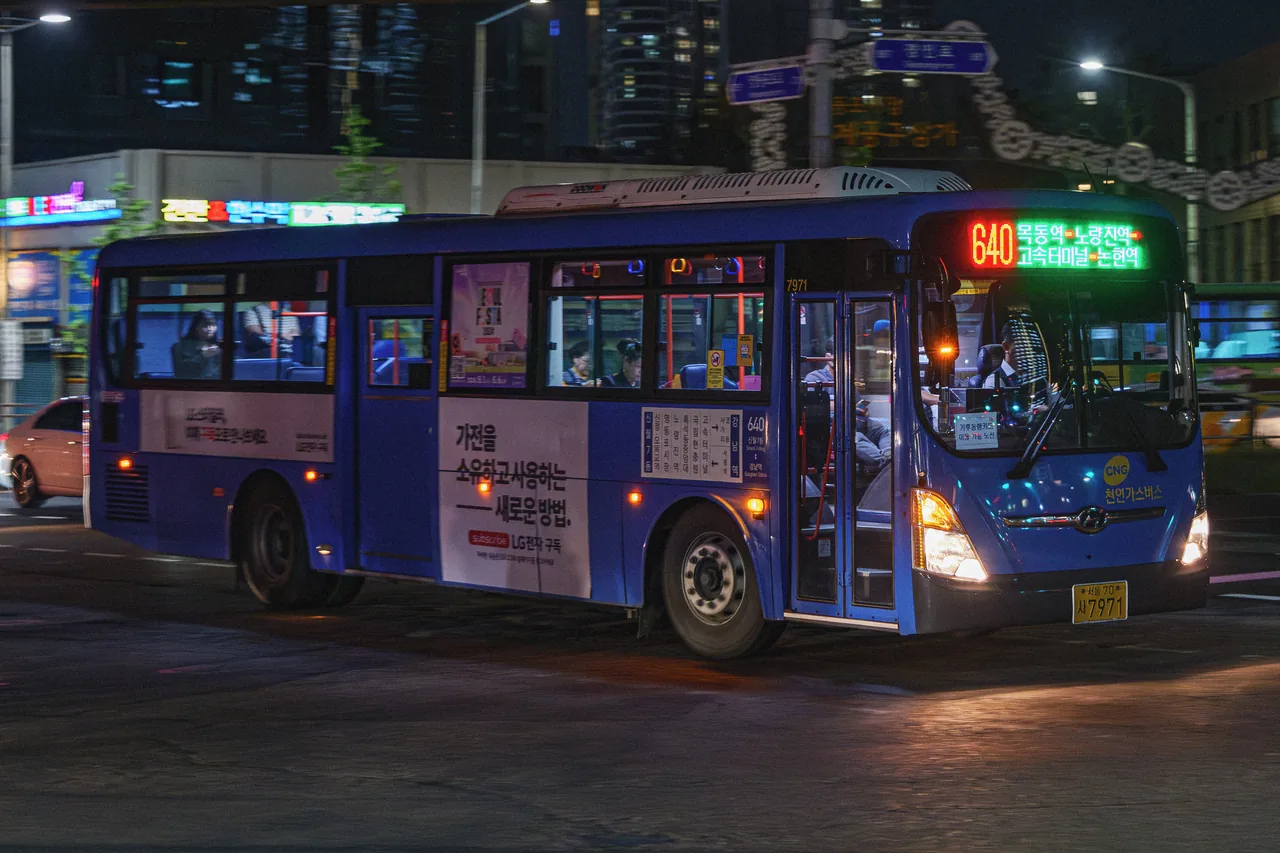 首爾的藍色幹線公車