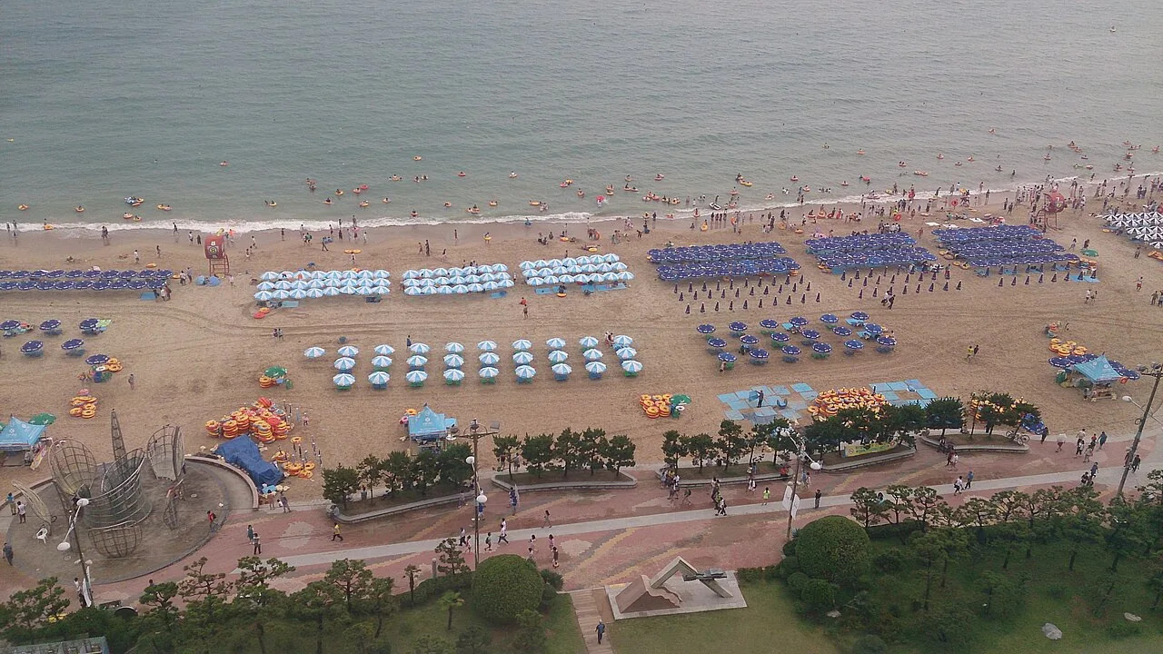 Haeundae Beach packed with sun parasols on a summer day in Busan