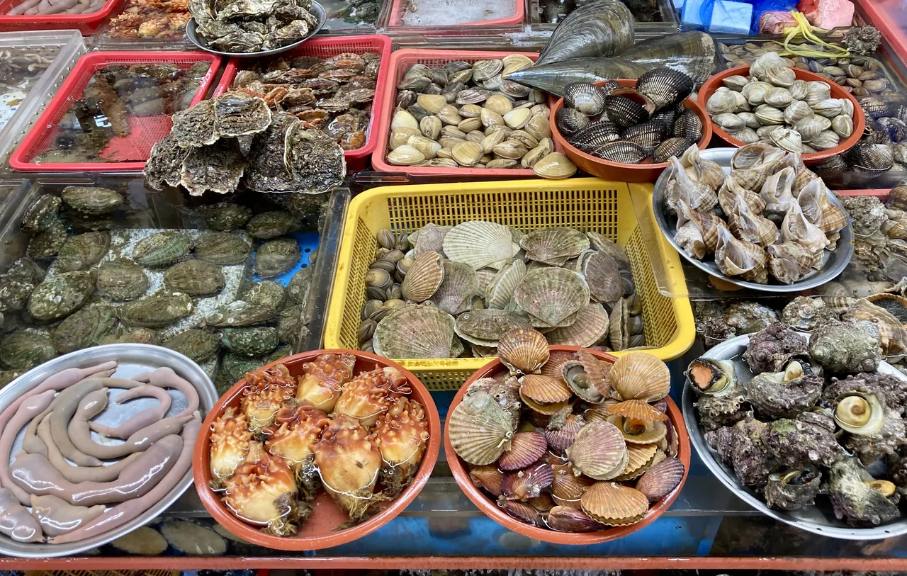 A colourful display of shellfish, abalone and scallops at a Jagalchi Market stall