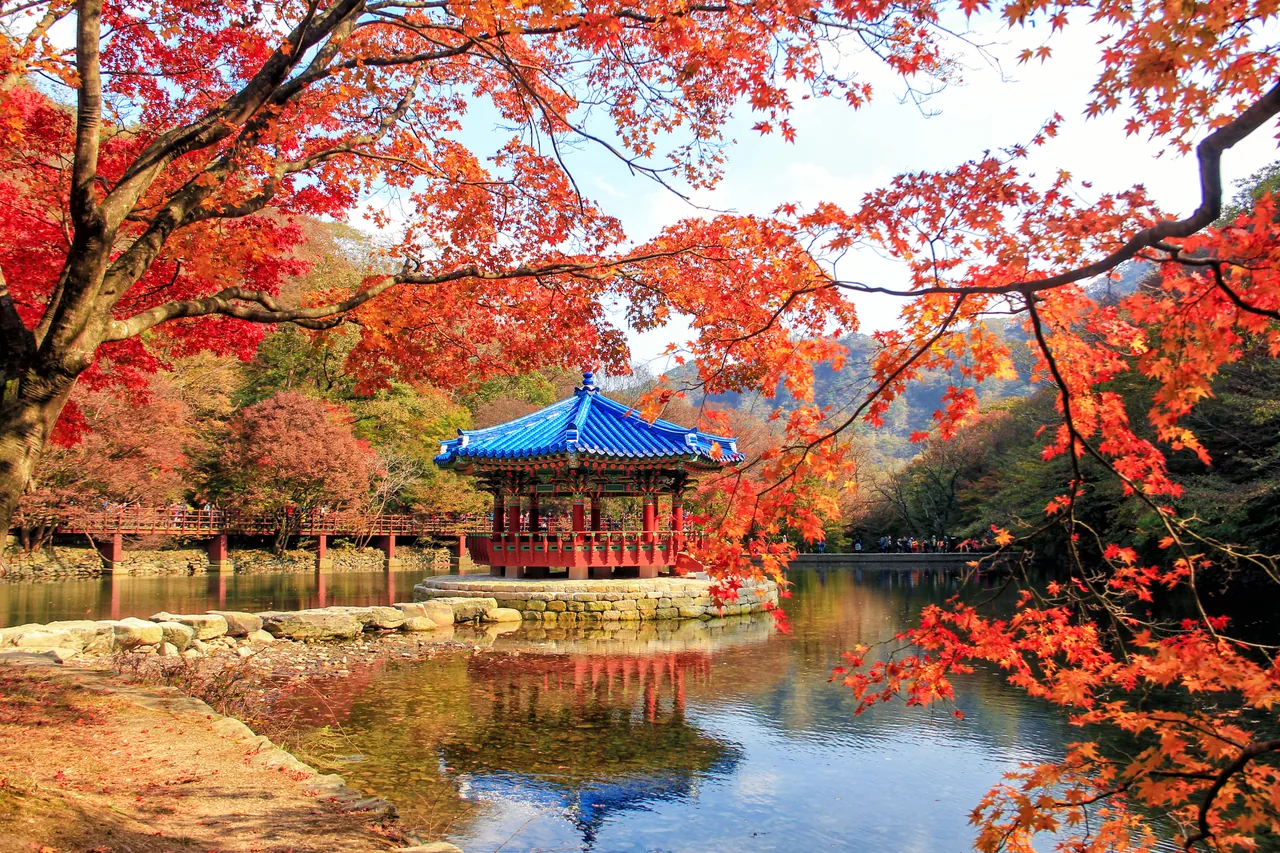 A Korean mountain pavilion among crimson autumn maples