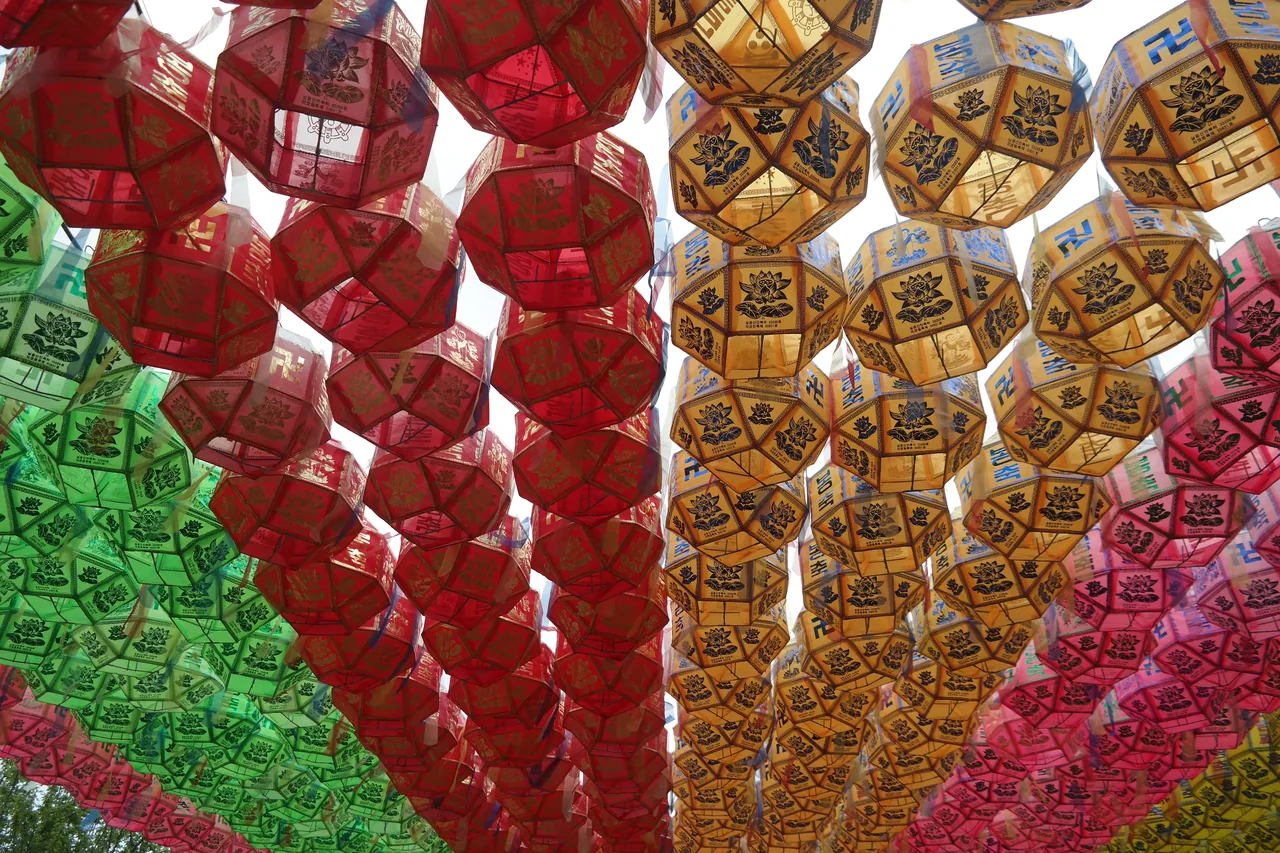 Lotus lanterns glowing at a Busan temple for Buddha's Birthday in May Lotus lanterns glowing at a Busan temple for Buddha's Birthday in May
