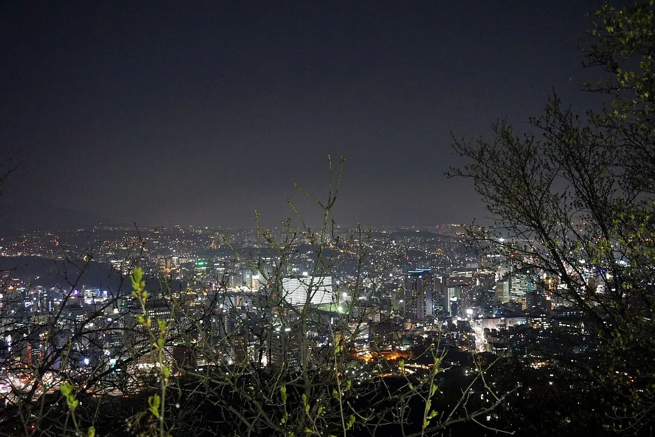 Seoul city skyline at night seen from Namsan Mountain