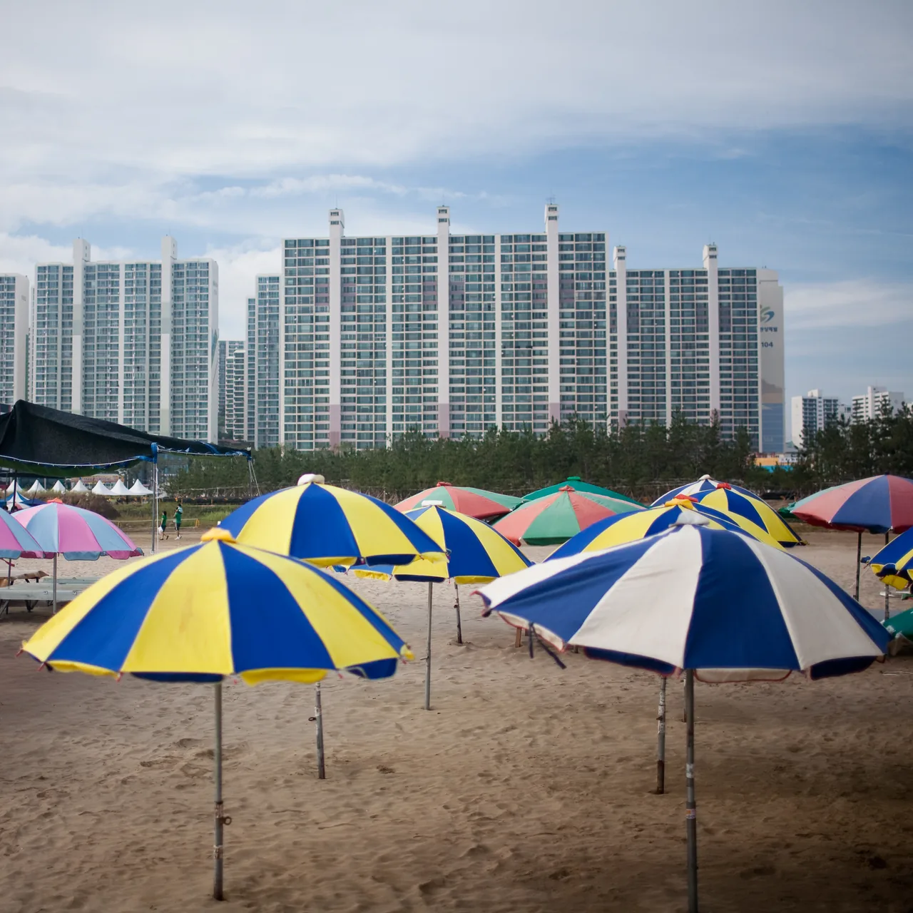 Blue and yellow parasols on the sand at Dadaepo with tall apartment towers rising behind the beach Blue and yellow parasols on the sand at Dadaepo with tall apartment towers rising behind the beach