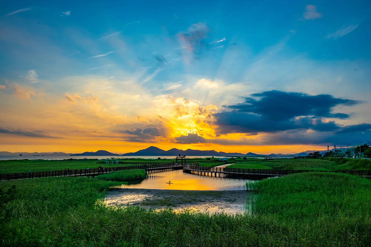 The wooden boardwalk of the Gouni Ecological Trail crossing reed wetland near Dadaepo Beach at sunset The wooden boardwalk of the Gouni Ecological Trail crossing reed wetland near Dadaepo Beach at sunset