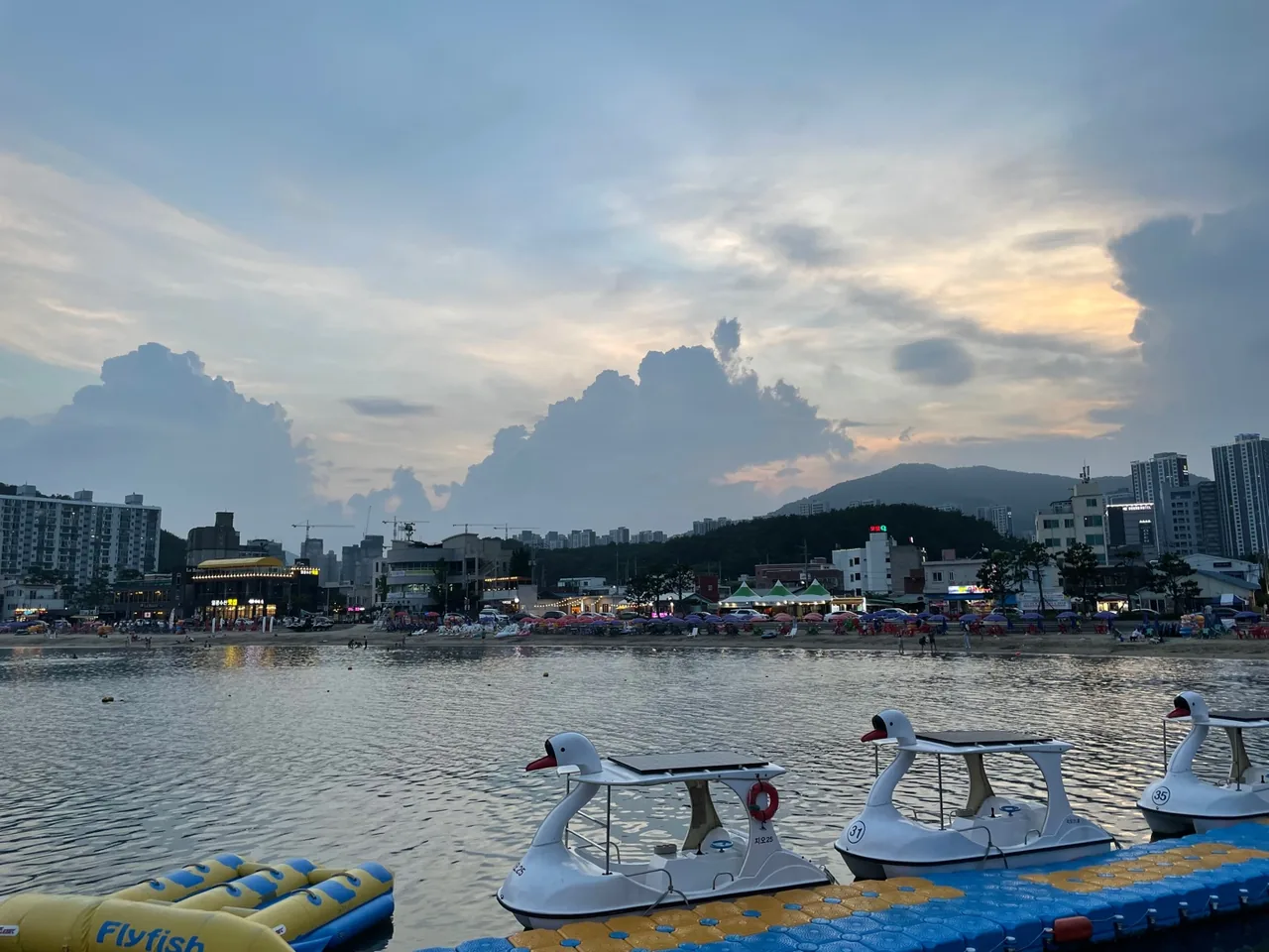 日光海水浴場的鴨子船 日光海水浴場的鴨子船
