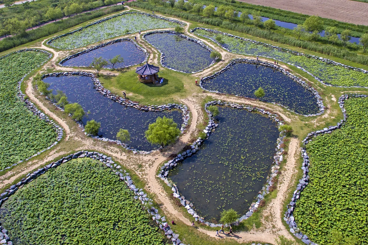 La amplia explanada del parque ecológico de Samnak junto al río Nakdong