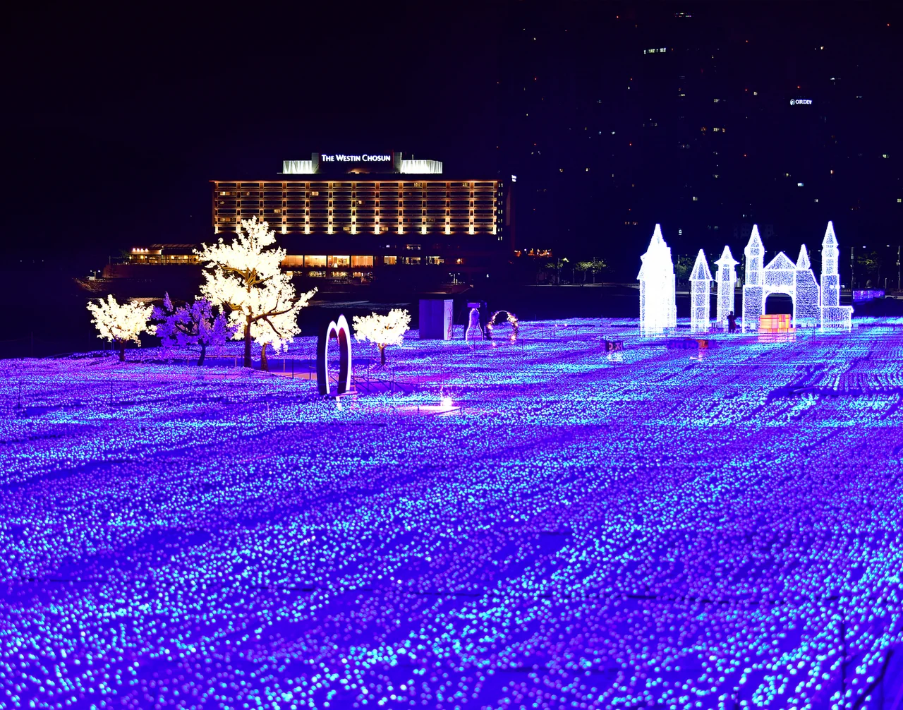 Haeundae beachfront lit up at night during the light festival