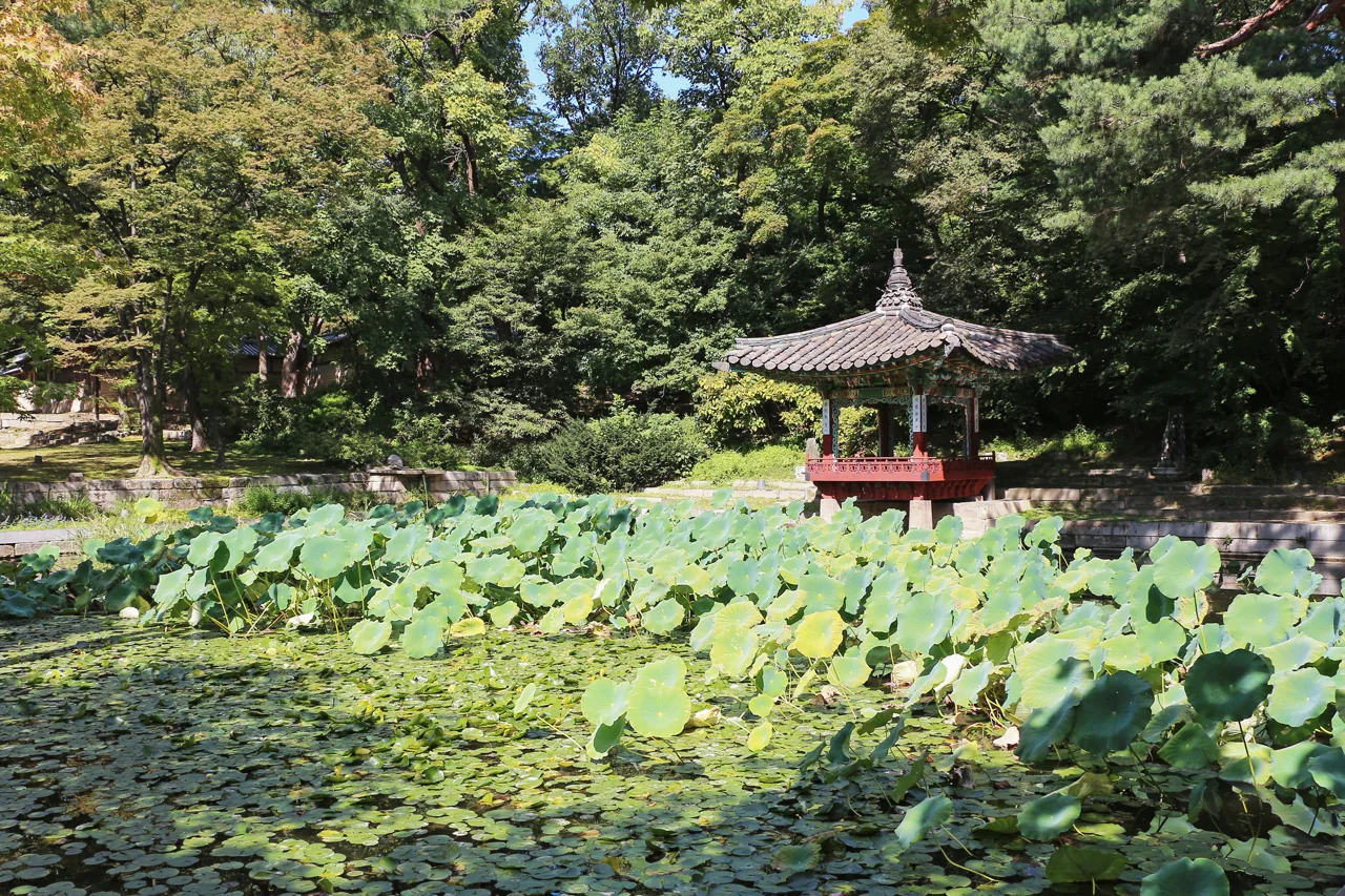 Aeryeonji pond and Aeryeonjeong pavilion in the rear garden
