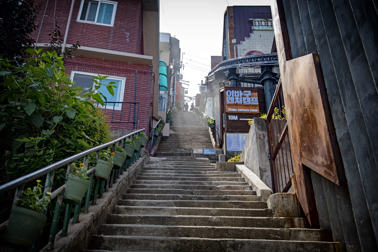 Concrete steps of the Choryang 168 Stairs with potted plants along the railing