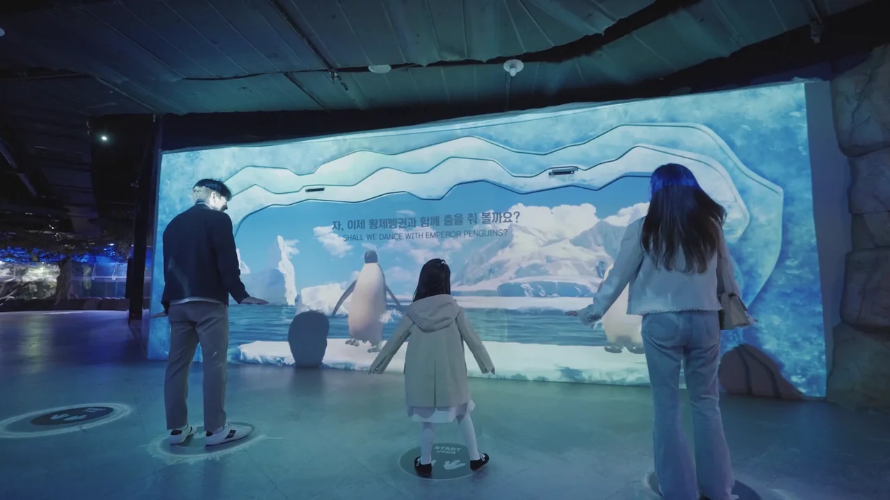 A child at the interactive penguin screen inside the aquarium