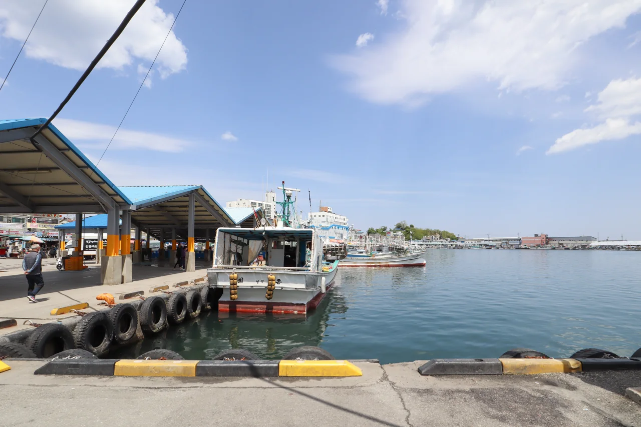 Fishing boats moored in Jumunjin Harbour in the morning