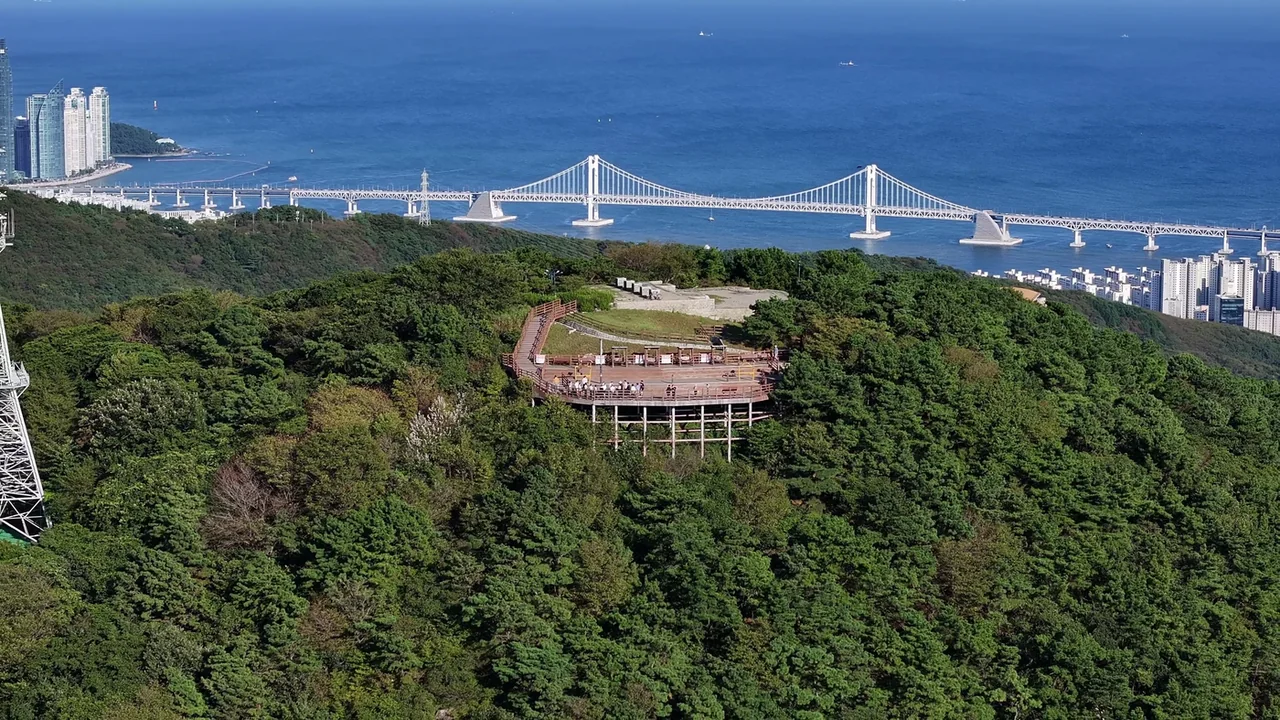 以廣安大橋為背景的荒嶺山弧形觀景木棧道 以廣安大橋為背景的荒嶺山弧形觀景木棧道