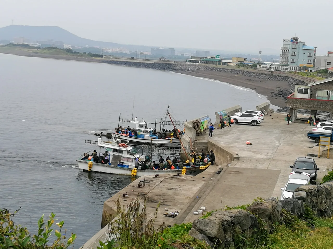 A haenyeo diver near Seongsan Ilchulbong