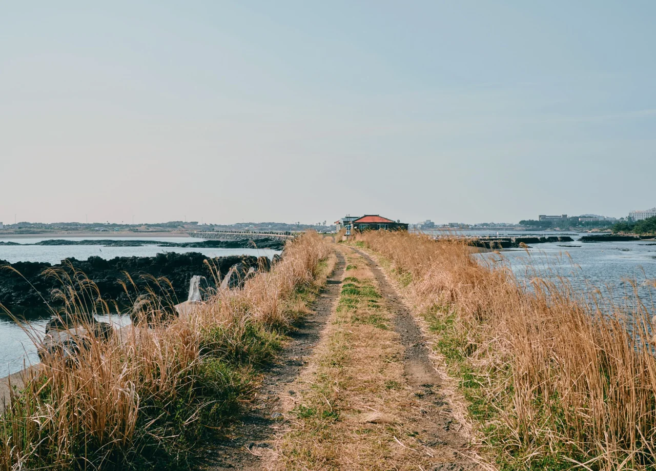 A coastal section of the Jeju Olle Trail