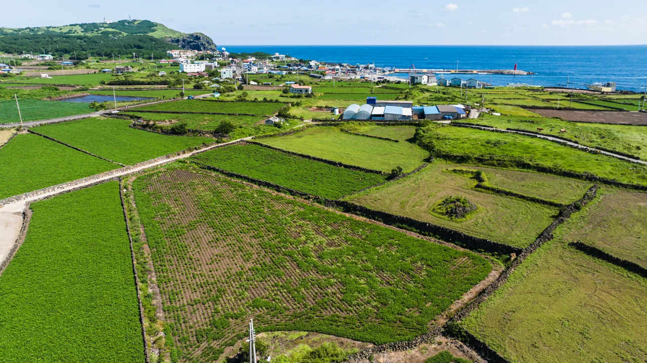 Udo, the island off the eastern tip of Jeju