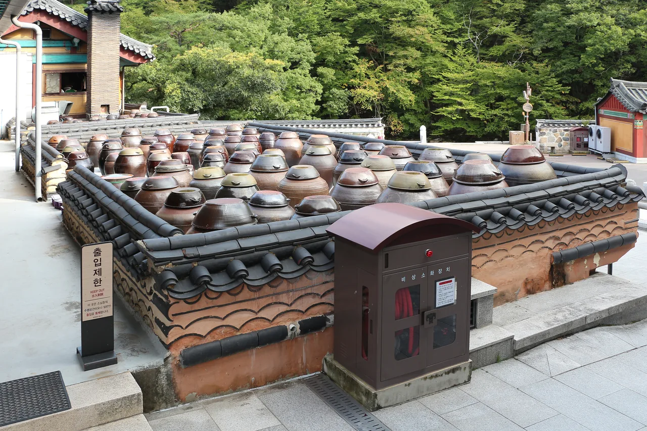 並んだ味噌甕が置かれた通度寺の甕置き場