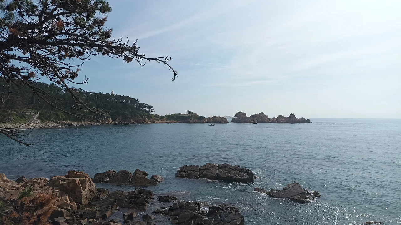 The Daewangam Park coastline and offshore rocks seen through pine branches