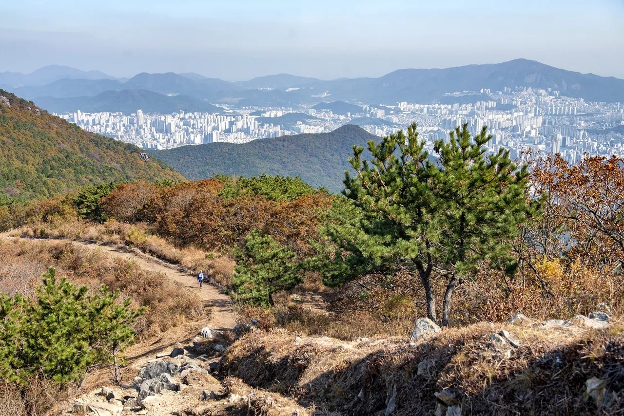 도시가 내려다보이는 백양산 능선의 흙길