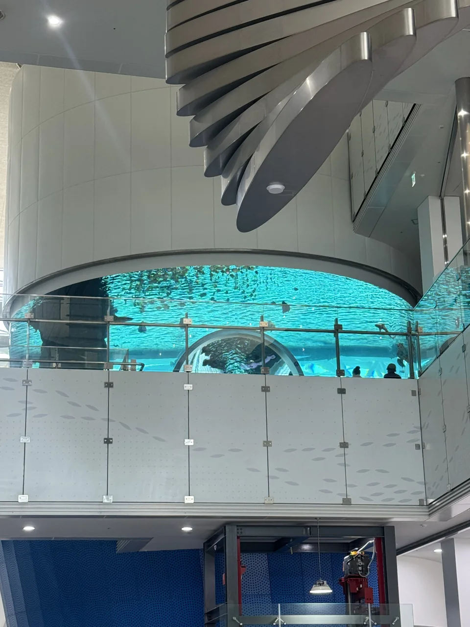 El acuario visto desde la planta inferior en el Museo Marítimo Nacional