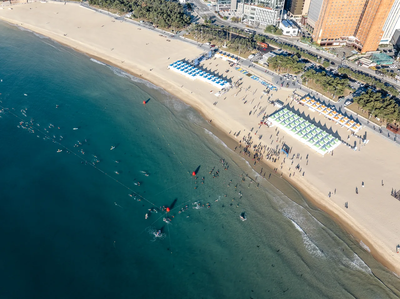 Haeundae beach and its parasols seen from above