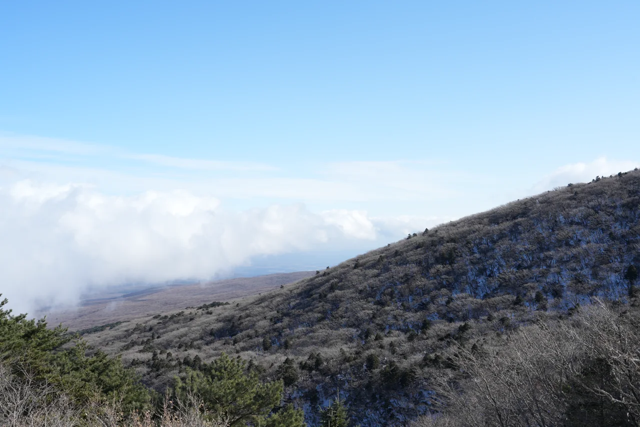 雲の上に出た漢拏山の冬の斜面
