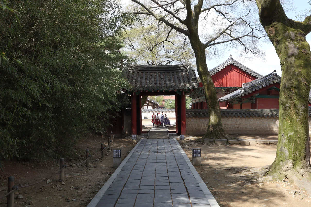 慶基殿の境内にある竹林の小道