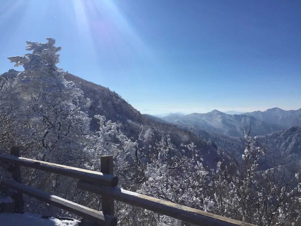 Árboles cubiertos de escarcha blanca junto a una barandilla de madera en el monte Deogyusan, con crestas nevadas y cielo azul