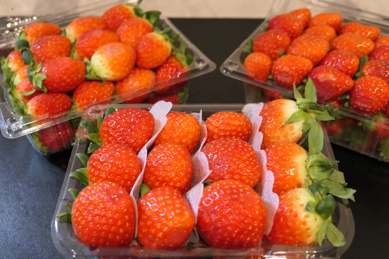 Fresas rojas en varias cajas de plástico transparente
