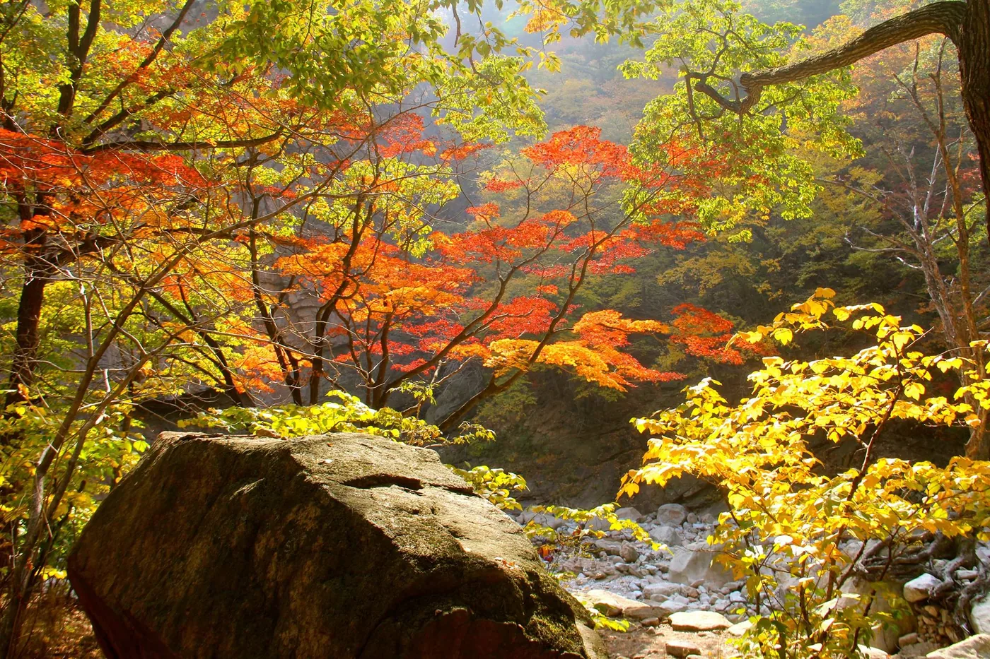 紅葉した雪岳山の渓谷と岩