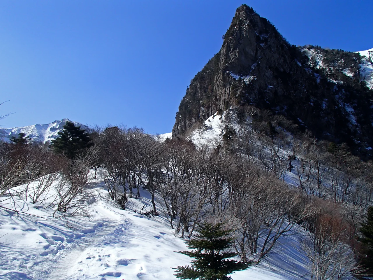 A snow-covered mountain trail with low shrubs and footprints in the snow, leading toward a snowy rocky peak under a blue sky