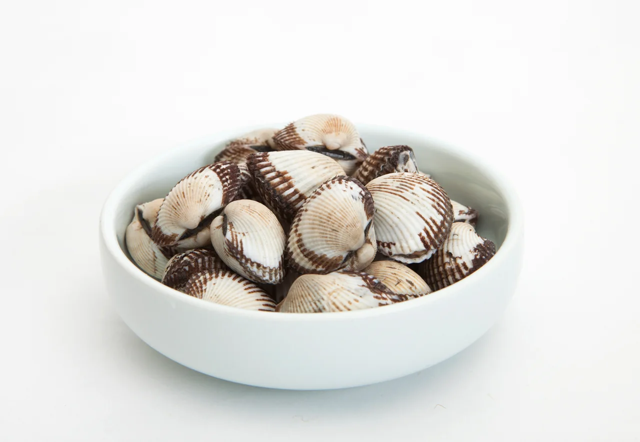 Boiled cockles in a white bowl on a white background